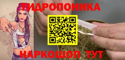 первитин Заводоуковск