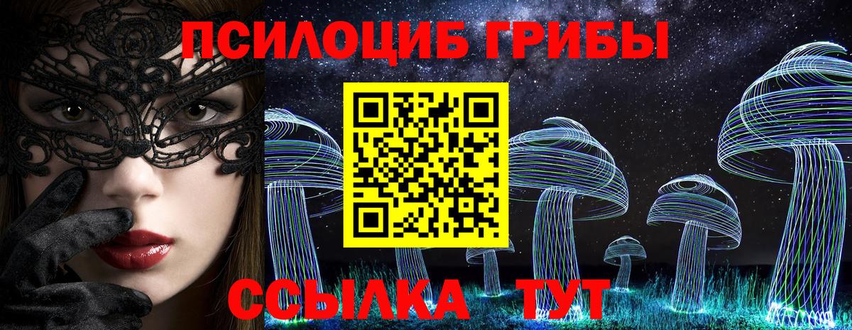 Кушва  Псилоцибиновые грибы прущие грибы  Вход с VPN 